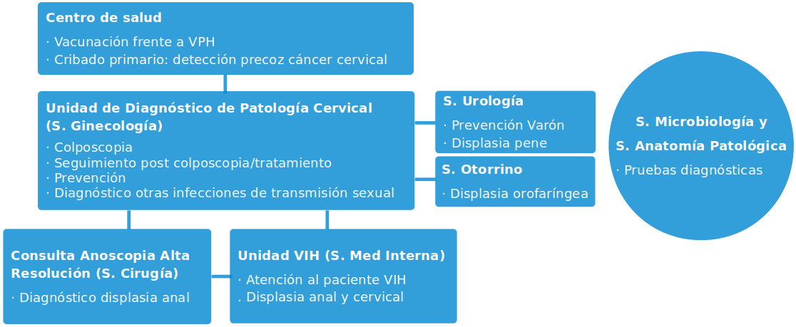 grupo GECAO